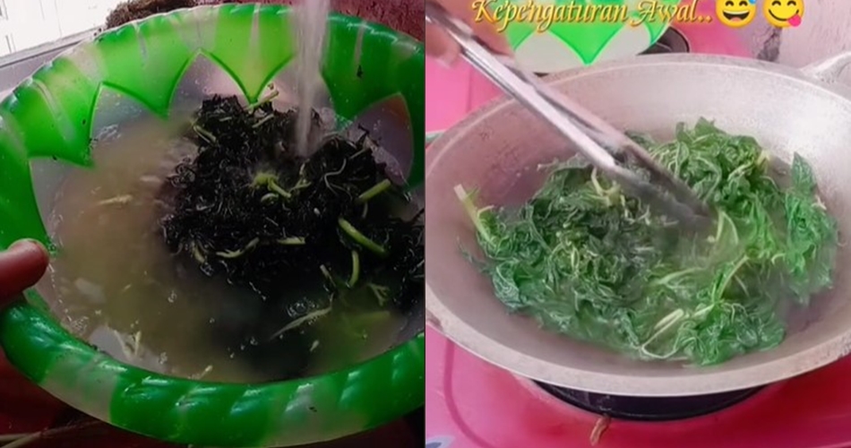Trik jitu mengurangi rasa pahit daun pepaya andalkan satu bumbu dapur