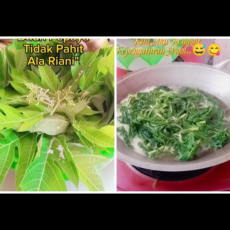 Trik jitu mengurangi rasa pahit daun pepaya andalkan satu bumbu dapur