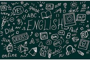 20 Contoh kata quantifier, pahami pengertian, jenis, dan penggunaannya dalam kalimat