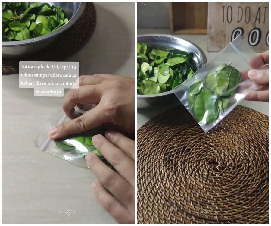 Cara menyimpan daun jeruk agar tetap hijau dan segar hingga 3 bulan