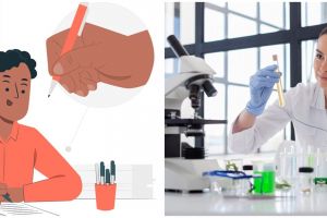 Contoh kata pengantar laporan, pahami konsep dasar, fungsi, dan strukturnya