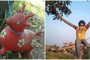 11 Potret penampakan benda di pohon ini perlu dilihat lebih jeli, endingnya bikin tepuk jidat