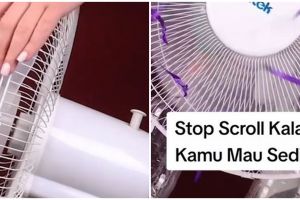 Hemat uang listrik, trik bikin kipas angin sedingin AC pakai barang bekas ini cocok buat anak kos