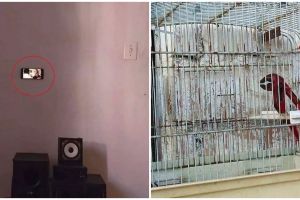 11 Potret kocak kelakuan orang gabut ini bikin dahi mengernyit, endingnya geleng kepala