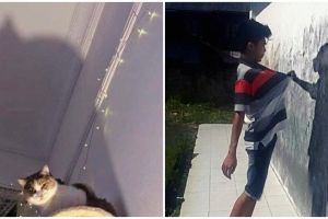 11 Potret kocak bayangan beda dari bentuk aslinya ini bikin gagal paham, kok bisa ya?