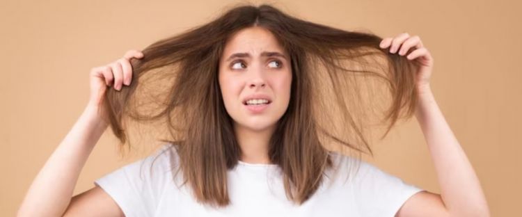 Tonik Rambut DIY Daripada Daun Kari – Adakah Ia Berfungsi?