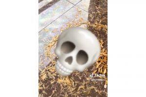 Bak karpet tiga dimensi, penampakan kumpulan laron penuhi lantai ini bikin melongo sekaligus merinding