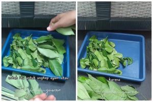 Tak perlu dijemur, ini trik simpan daun jeruk agar awet wangi dan hijau hingga 2 minggu pakai 1 alat