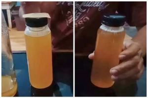 Cara mudah membedakan madu asli dan palsu tanpa perlu dicampur air atau dipanaskan