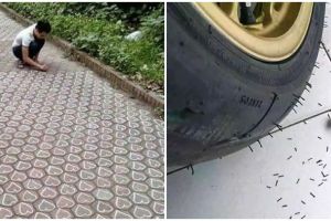 11 Potret kocak kelakuan random orang kurang kerjaan ini selain lucu bikin gedek