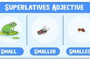 20 Contoh kalimat superlative degree 2 suku kata bahasa Inggris, lengkap dengan penjelasannya