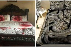 12 Potret kocak desain sprei nyeleneh ini bikin tidur auto nggak nyenyak, mau beli nggak nih?