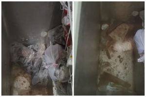 Tanpa disiram air panas, ini trik cepat mencairkan daging beku di freezer dalam waktu 10 menit