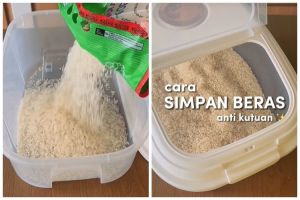 Bukan daun jeruk atau pandan, ini cara simpan beras agar bebas kutu dan bau apek pakai 1 bahan dapur