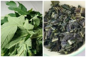 Bukan pakai daun jambu biji atau tanah liat, ini trik ampuh hilangkan rasa pahit daun pepaya
