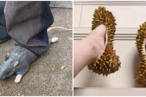 Bukannya kelihatan kece, 11 potret kocak desain nyeleneh sepatu ini jatuhnya bikin ilfeel pol