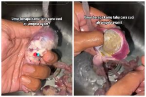 Jangan cuma dicuci air, ini cara membersihkan ampela ayam agar tidak amis dan kotor