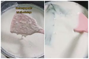 Tak perlu dimasak dari awal, ini trik mengatasi santan pecah cuma pakai 1 jenis daun