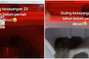 Momen wanita tunjukkan gulingnya baru dicuci setelah 25 tahun, penampakannya bikin geleng kepala
