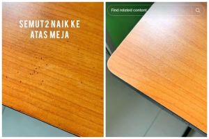 Tak perlu kapur barus, ini trik ampuh mencegah semut naik ke meja makan pakai 1 bahan dapur