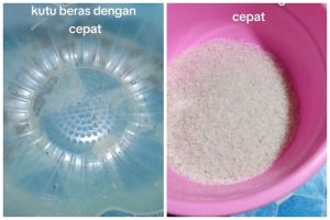 Tanpa daun salam atau kayu manis, ini trik mengusir kutu beras cuma mengandalkan 1 alat dapur