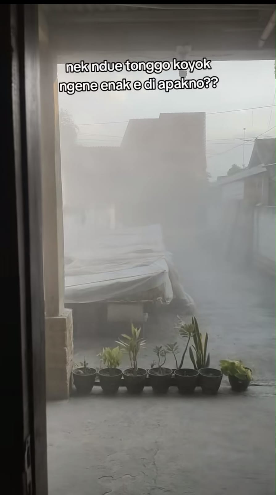 Momen wanita curhat rumahnya terkena racun tanaman karena ulah tetangga, endingnya bikin geram