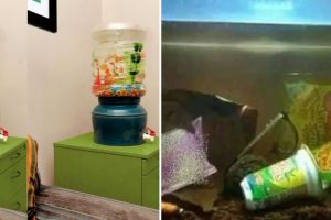 15 Potret kocak desain nyeleneh akuarium ini bikin geleng kepala, idenya dapat darimana sih?