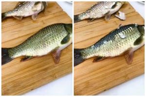 Tak perlu pisau atau sendok, ini cara cepat bersihkan sisik ikan pakai 1 jenis tanaman