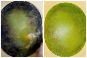 Bukan baking soda, ini cara mencuci talenan plastik berjamur agar bersih lagi pakai 1 bahan dapur