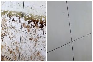 Tanpa digosok kuat, ini cara bersihkan lumut di bak kamar mandi cukup tambah 1 bahan dapur