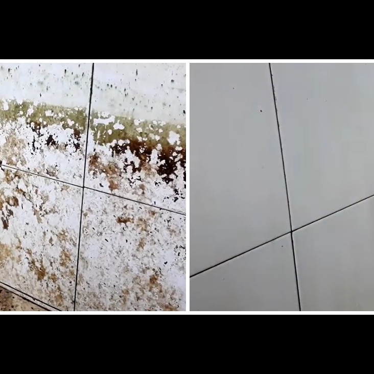 Tanpa digosok kuat, ini cara bersihkan lumut di bak kamar mandi cukup tambah 1 bahan dapur