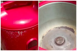 Tanpa baking soda, ini cara ampuh mengangkat kerak dan noda gosong di rice cooker pakai 2 bahan dapur