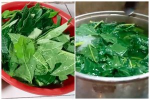 Tanpa tanah liat atau baking soda, ini trik ampuh hilangkan rasa pahit daun pepaya pakai 1 jenis daun