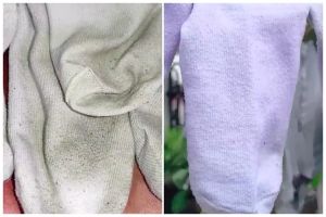 Bukan pakai detergen, ini cara cuci kaus kaki dekil agar bersih maksimal pakai tambahan 1 bahan dapur