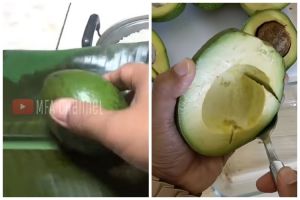 Tanpa diperam beras berhari-hari, ini cara mematangkan alpukat dalam 10 menit agar mulus dan tak hitam