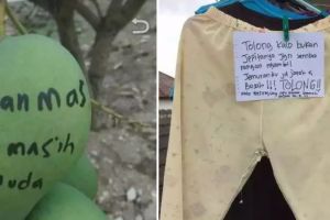 11 Potret kocak peringatan agar barang nggak dicuri ini bikin senyum lebar, nyeleneh abis