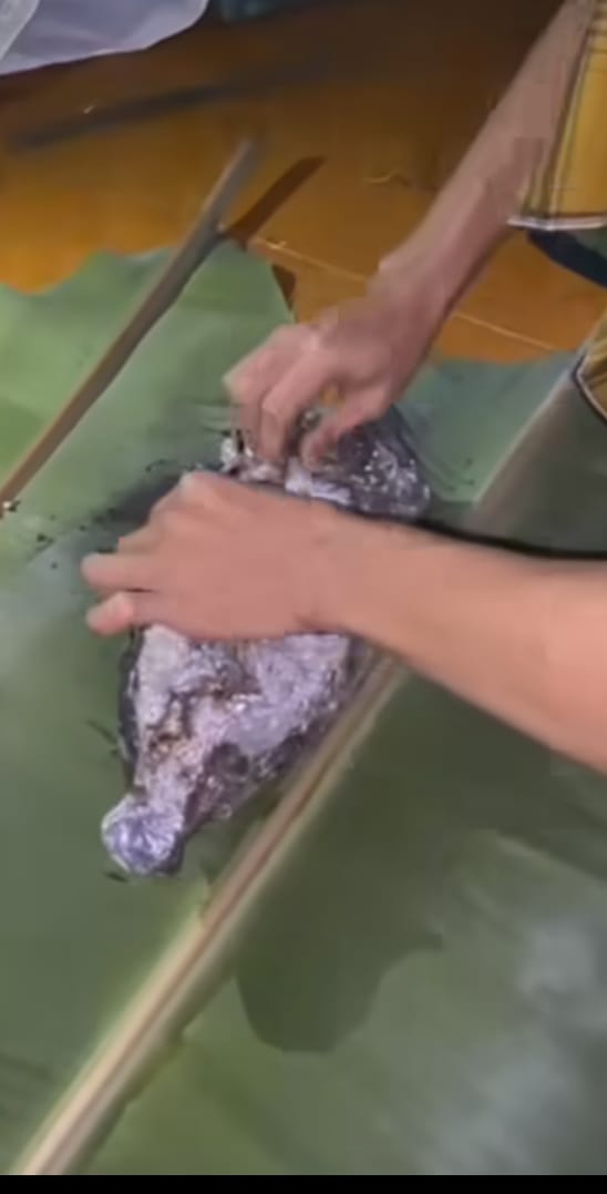 Niatnya biar matang sempurna, momen pria bakar ayam pakai aluminium foil ini endingnya di luar dugaan