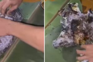 Niatnya biar matang sempurna, momen pria bakar ayam pakai aluminium foil ini endingnya di luar dugaan