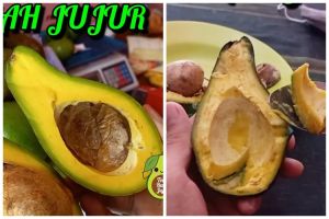 Tanpa diperam beras dan dilapisi tisu, ini trik matangkan alpukat yang telanjur dibelah agar tak busuk