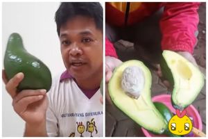 Cara mematangkan alpukat tanpa beras, daging buah mulus dan tak busuk meski pakai 1 bahan sederhana
