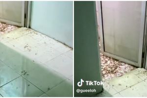 Fix bersihinnya setengah mati, penampakan kamar mandi dipenuhi laron ini bikin bulu kuduk merinding