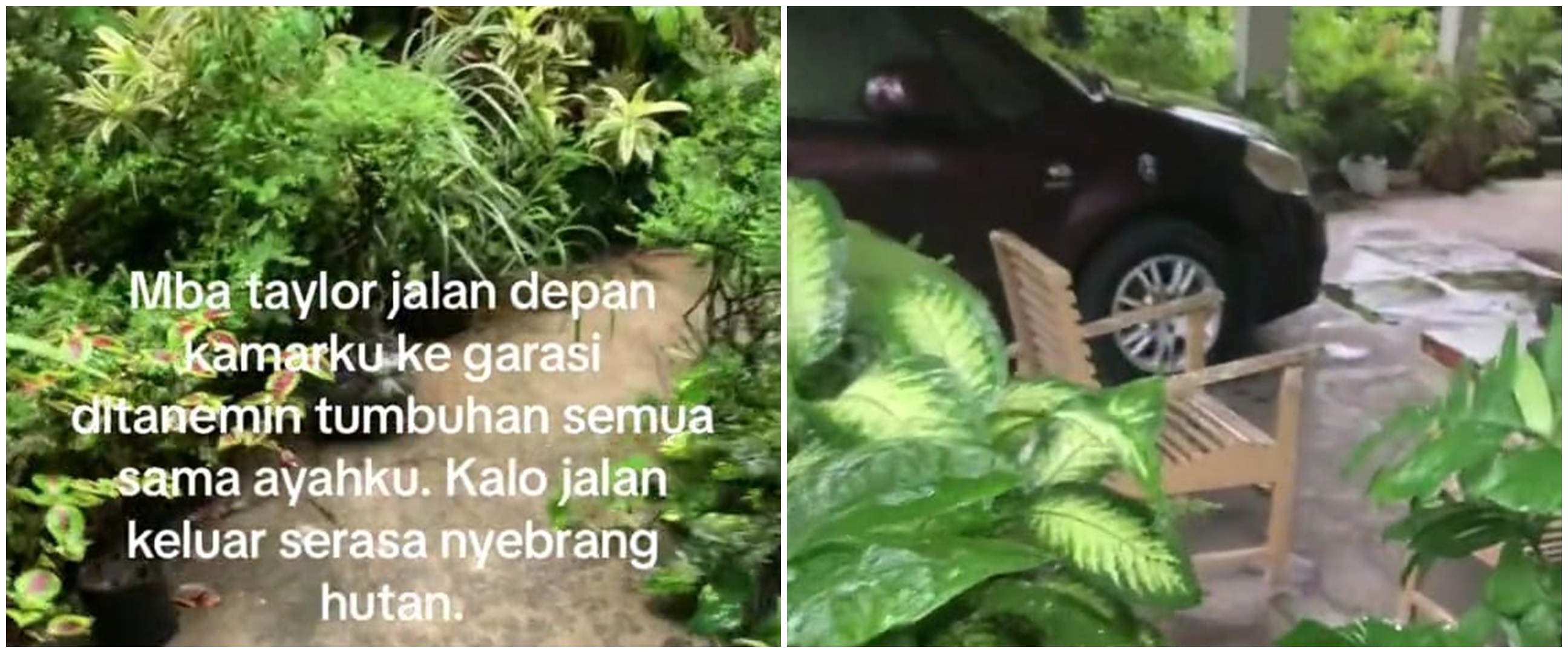 Keluar kamar berasa masuk hutan, rumah bernuansa alam dipenuhi tanaman ini bikin segar mata