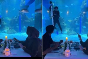 Momen wanita dilamar kekasih lewat akuarium raksasa ini romantisnya bikin baper