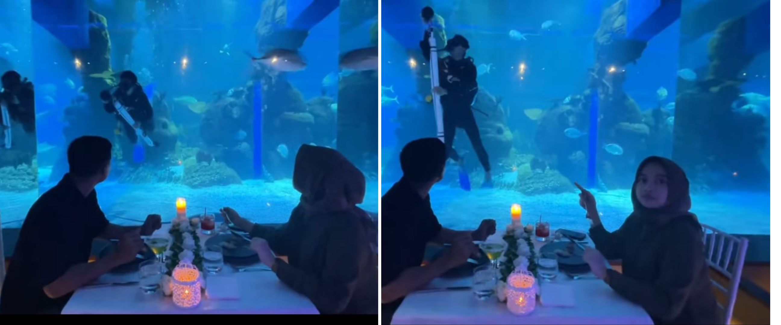 Momen wanita dilamar kekasih lewat akuarium raksasa ini romantisnya bikin baper