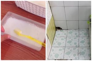 Tanpa sabun cuci piring, ini cara bersihkan kerak membandel di keramik kamar mandi pakai 2 bahan dapur