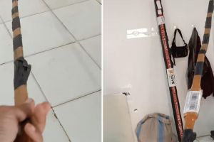 Momen seorang kurir ngomel karena harus mengantar barang tak wajar ini lucu tapi kasihan juga