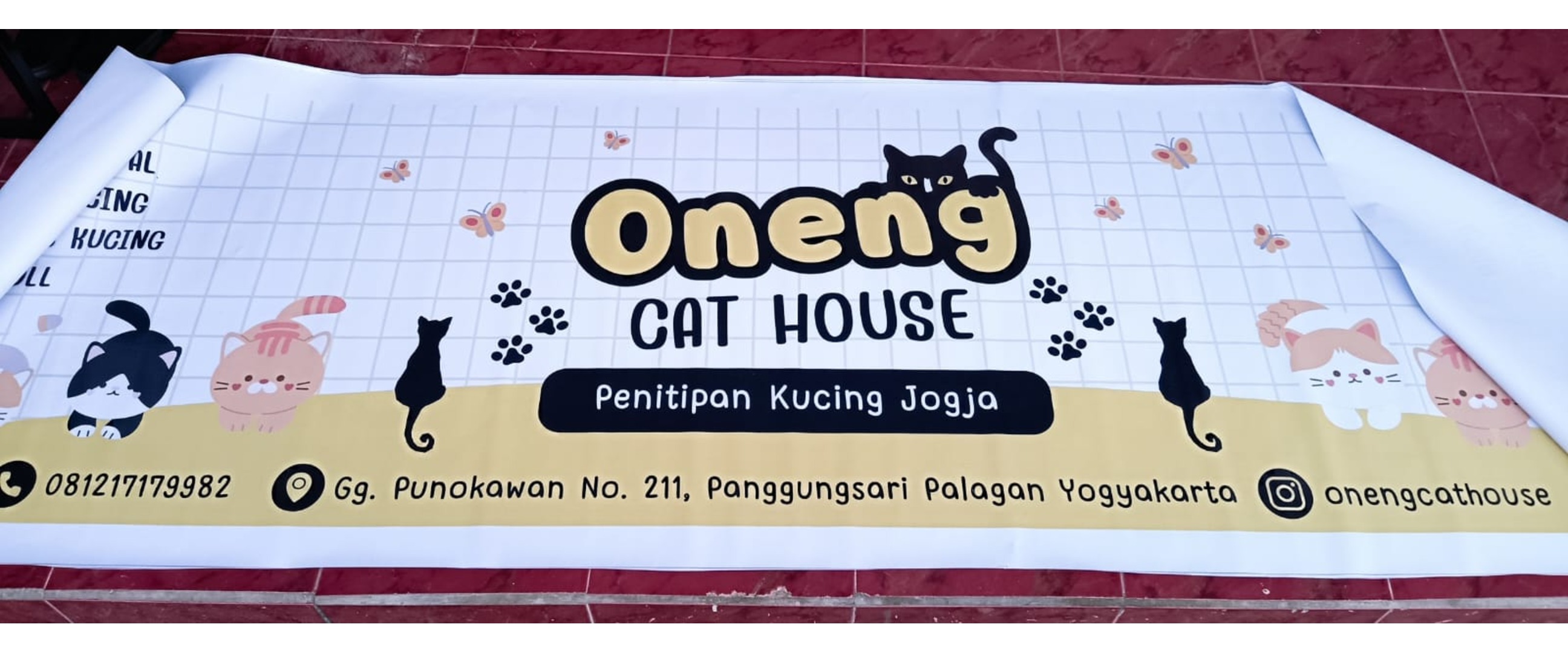 Bingung cari kerja, mahasiswa ini ubah kecintaannya pada kucing jadi untung jutaan rupiah