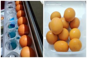 Bukan di rak pintu kulkas, ini trik aman simpan telur agar awet dan tetap berkualitas hingga 1 bulan