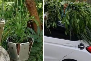 11 Potret kocak kelakuan orang sok kaya ini bikin tepuk jidat, mending uangnya buat umrah