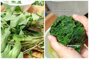 Cuma 5 menit, ini trik rebus daun singkong agar tetap hijau dan empuk pakai 2 bahan dapur